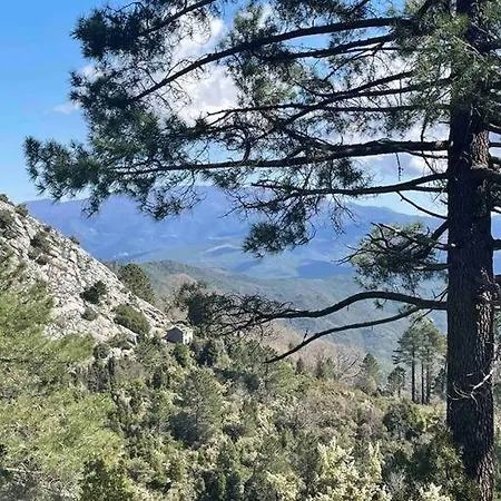 Au Coeur De La