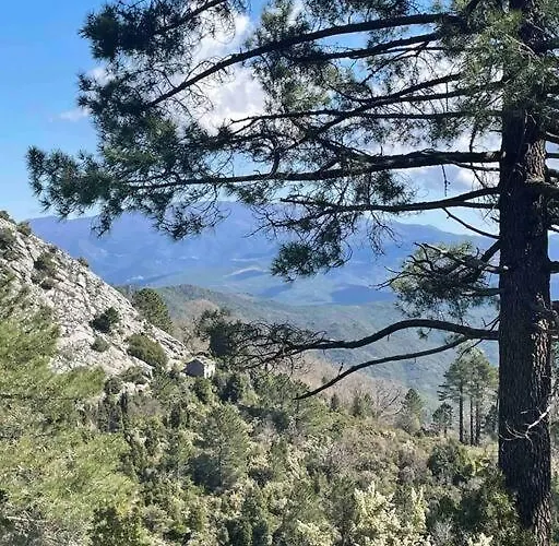 Au Coeur De La